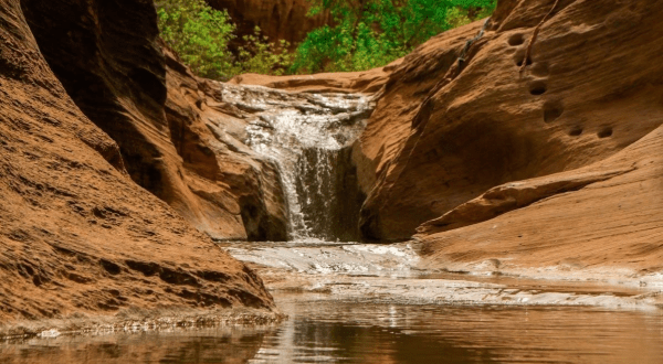 Utah’s Most Refreshing Hike Will Lead You Straight To A Beautiful Swimming Hole