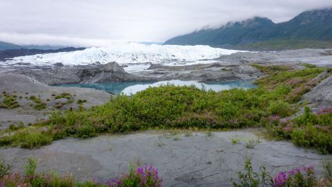 Hike This Short And Sweet Trail To The Most Stunning Glacier In Alaska