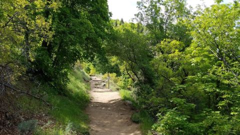 The Hike To This Pretty Little Utah Waterfall Is Short And Sweet