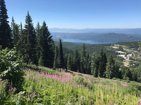 Enjoy Views Of 6 Of Montana's Best Natural Wonders On This One Adventurous Hike
