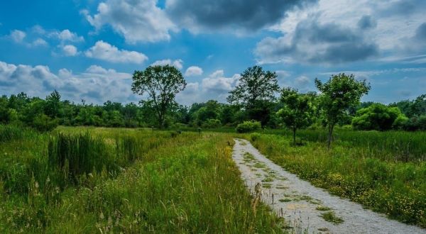 10 Totally Kid-Friendly Hikes In Cleveland That Are 1 Mile And Under