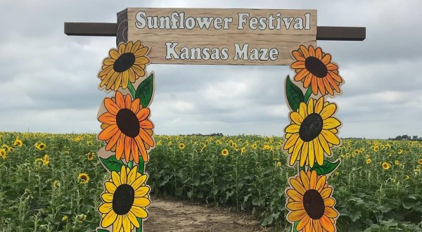 This Upcoming Sunflower Festival In Kansas Will Make Your Summer Complete