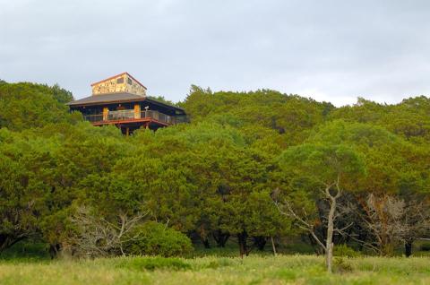 You Can Watch Exotic Animals Graze While You Eat At The Overlook Cafe, A Safari Restaurant In Texas