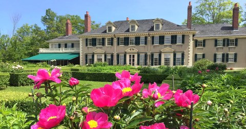 Enjoy Thousands Of Fragrant Blooms At This Springtime Peony Garden In Vermont