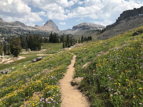 Wyoming Is Home To The Best Backpacking Trail In The Country And You'll Want To Hike It