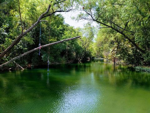 Austin's Most Refreshing Hike Will Lead You Straight To A Beautiful Swimming Hole