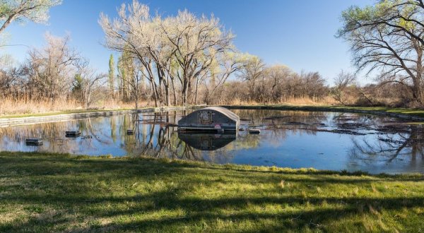 The Most Peaceful Spring In New Mexico Is Just Waiting To Be Found