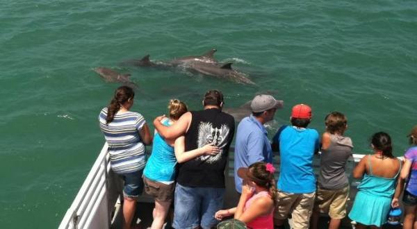 This Dolphin-Watching Boat Tour In Texas Is The Most Magical Thing You’ll Do All Summer