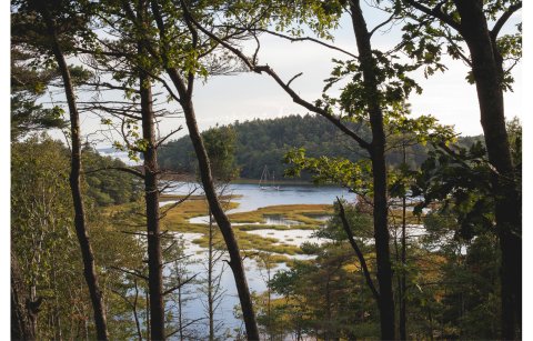 The Waterfront Treehouse Rental In Maine You’ll Never Want To Leave