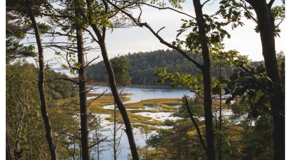 The Waterfront Treehouse Rental In Maine You’ll Never Want To Leave