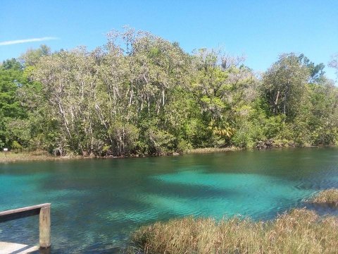 This Clear Water Creek In Florida Is Chock Full Of Summer Fun