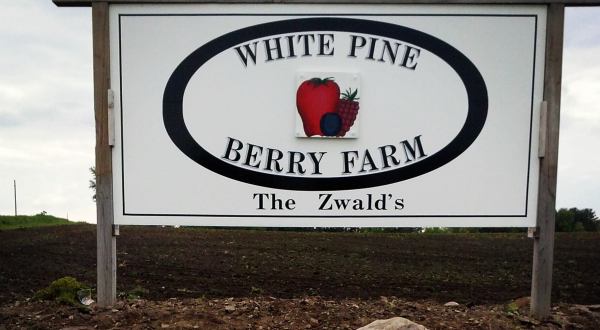 Take The Whole Family On A Day Trip To This Pick-Your-Own Strawberry Farm In Wisconsin