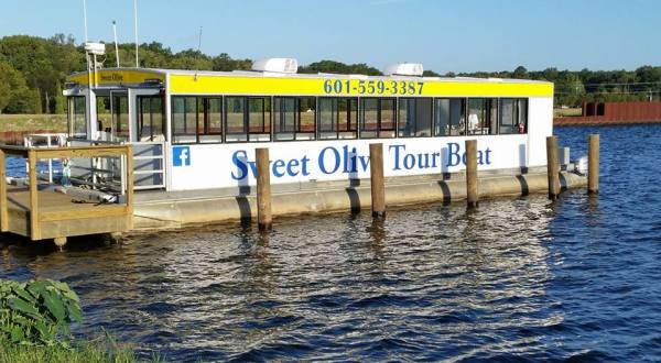The Mississippi Boat Tour That’s Perfect For Your Next On-The-Water Adventure