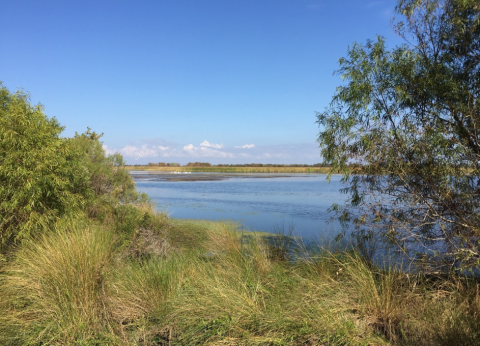 Go Behind The Bayou With A Hike Down These 7 Waterfront Trails Near New Orleans