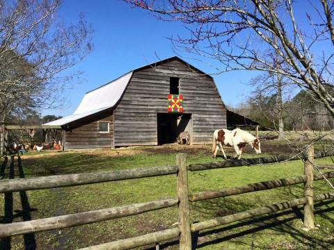 Take This Quilt Barn Tour In Mississippi For A Day Of Old Fashioned Fun