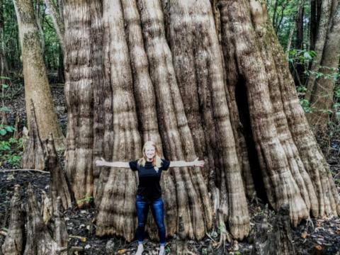 Most People Don’t Know Some Of The Oldest Trees In The World Are Found In Mississippi