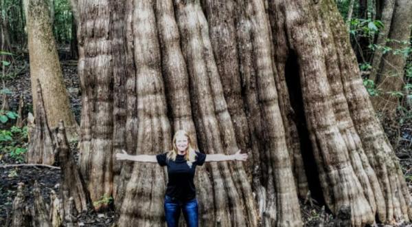 Most People Don’t Know Some Of The Oldest Trees In The World Are Found In Mississippi