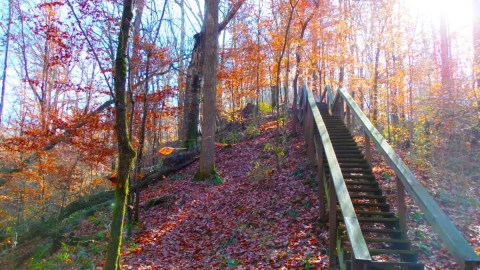 The Mississippi Forest Trail That Holds A Long Forgotten Secret Of The Civil War