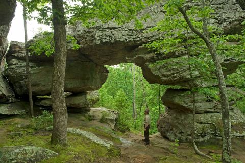 This 4-Mile Hike In Arkansas's Petit Jean State Park Takes You Through An Enchanting Forest