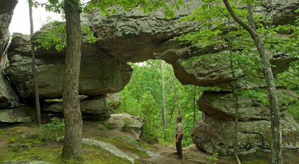 This 4-Mile Hike In Arkansas’s Petit Jean State Park Takes You Through An Enchanting Forest