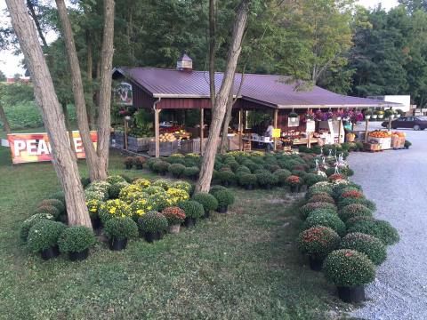 This Enormous Roadside Farmers Market In Ohio Is Too Good To Pass Up