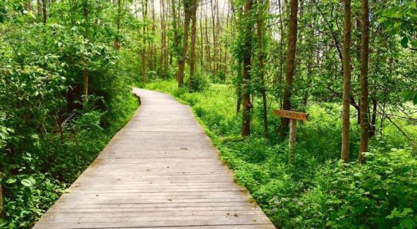 This 3-Mile Hike In Wisconsin Takes You Through An Enchanting Forest
