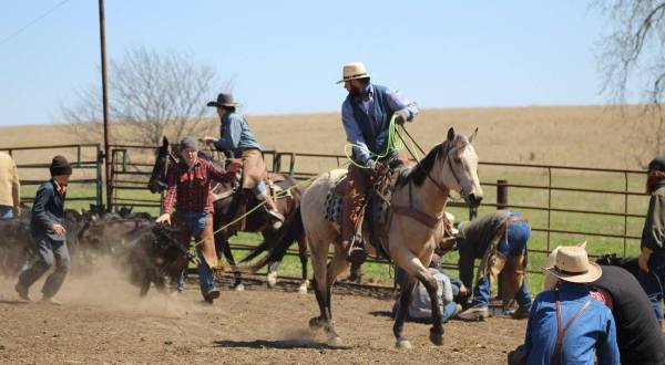 Experience Real Homestead Living On Big Blue Ranch, A Working Guest Ranch In Nebraska