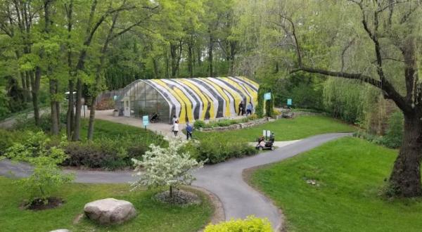 Visit Wisconsin’s Summer Butterfly Exhibit For A Truly Magical Experience