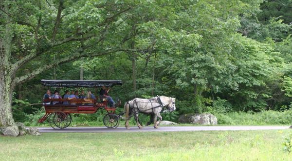 Take A Carriage Ride Through The Country For A Truly Unique Pennsylvania Experience