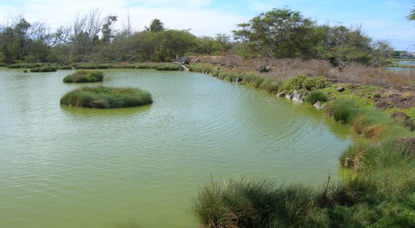 Get Away From It All At This Wildlife Refuge Tucked Away In Hawaii