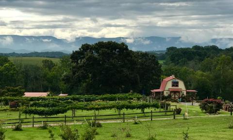 Visit This Tennessee Winery Soon For Some Of Most Spectacular Views In The State