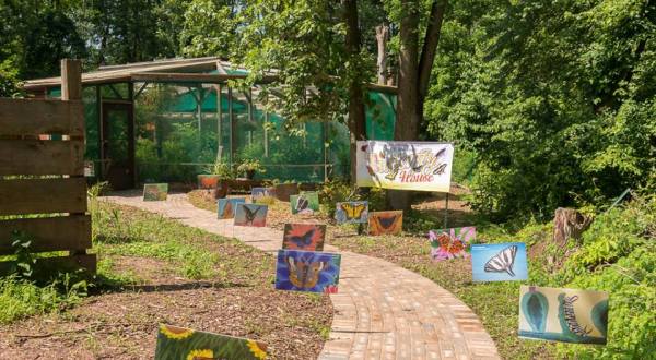 The Tiny Butterfly House In Pennsylvania Is A Magical Way To Spend An Afternoon