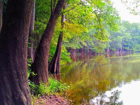 This Singing River In Mississippi Needs To Be Experienced To Be Believed
