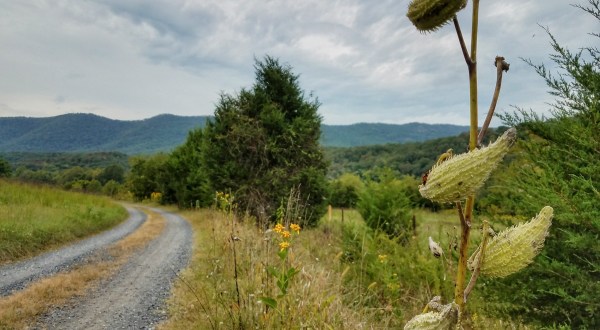 It Doesn’t Get Much Better Than This Peaceful Mountain Drive Located Inside A Virginia State Park
