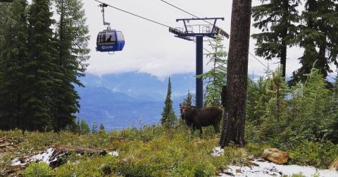 This Gondola Dinner Ride In Idaho Is A Summer Experience You'll Never Forget