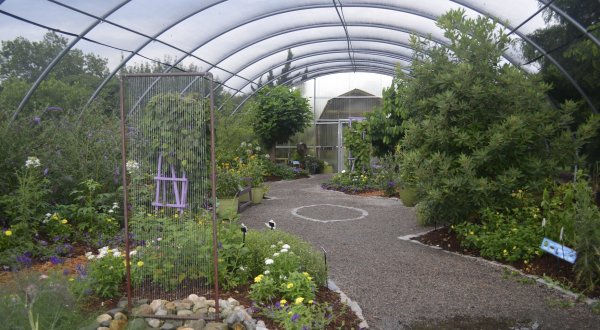 The Largest Butterfly House In Virginia Is A Magical Way To Spend An Afternoon