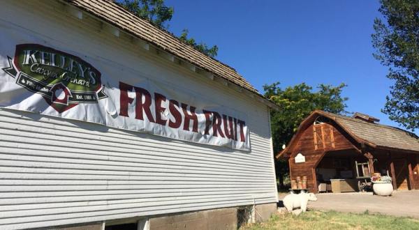 Spend A Summer Day Picking Cherries At This Lovely Little Farm In Idaho