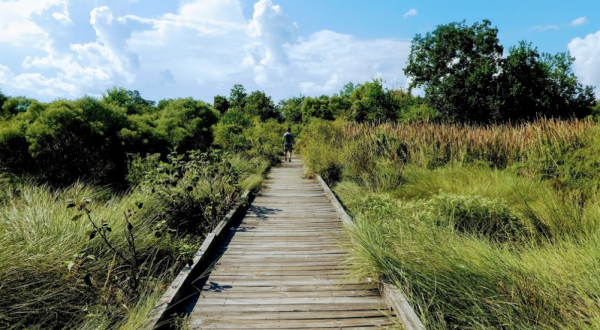 The Boardwalk Hike Near New Orleans That Leads To Incredibly Scenic Views