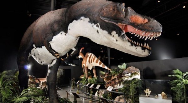 Walk With The Dinosaurs At This Prehistoric Park In Missouri