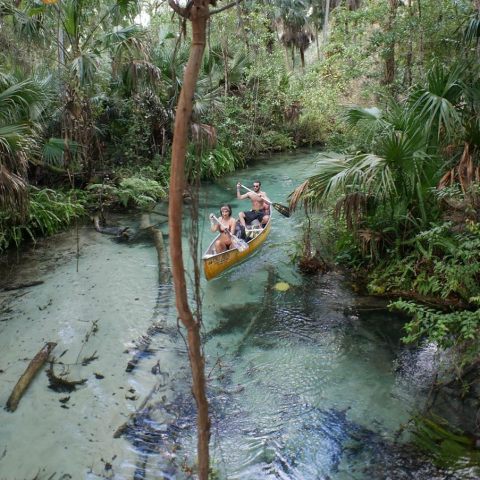 Paddling This Clear River To King's Landing In Florida Will Make You Feel Like You're In The Amazon