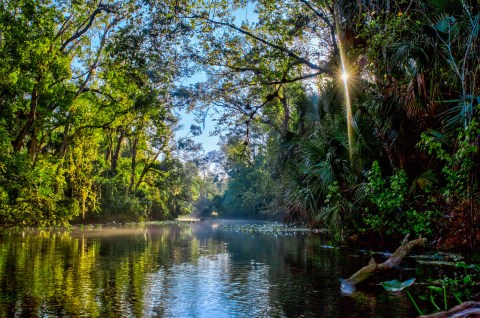 The 51-Mile Paddling Trail In Florida Is A Scenic Adventure You Have To See To Believe