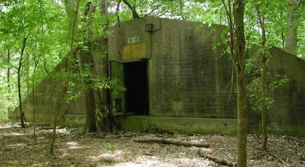 The Forest Trail Near New Orleans That Holds A Long Forgotten Secret Of WWII