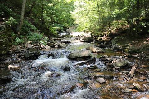Ricketts Glen State Park Is One Of Pennsylvania’s Most Popular State Parks
