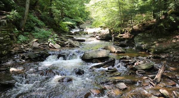 Ricketts Glen State Park Is One Of Pennsylvania’s Most Popular State Parks