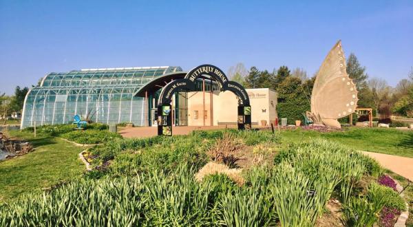 The Largest Butterfly House In Missouri Is A Magical Way To Spend An Afternoon