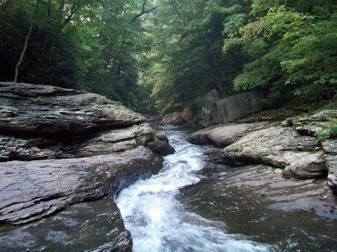 Pittsburgh's Most Refreshing Hike Will Lead You Straight To A Beautiful Swimming Hole