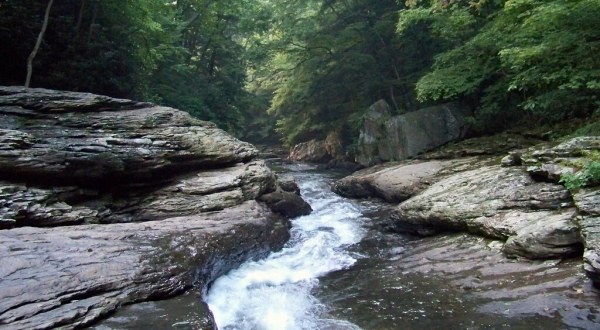 Pittsburgh’s Most Refreshing Hike Will Lead You Straight To A Beautiful Swimming Hole