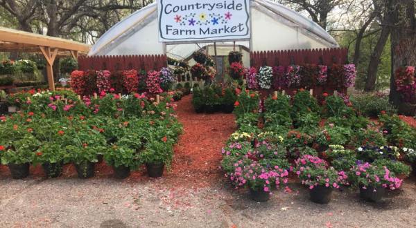 This Enormous Roadside Farmers Market In Minnesota Is Too Good To Pass Up