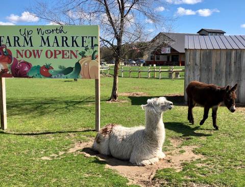 There's A Petting Zoo At This Michigan Market And You'll Want To Visit For Yourself
