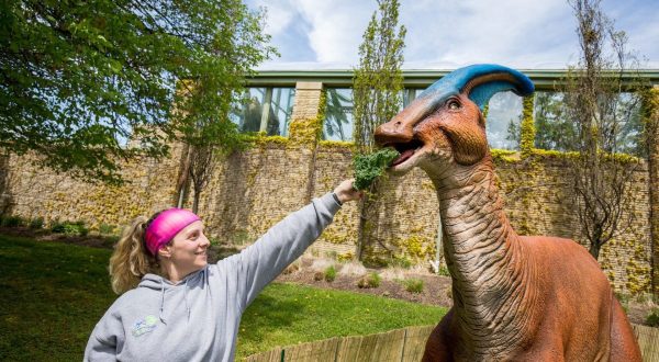 Walk With The Prehistoric Dinosaurs At This Zoo In Buffalo